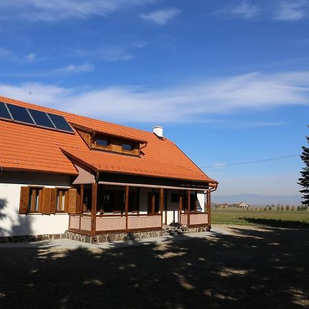 Hotel Ezüstfenyő Agroturisztikai Panzió Borzont Exterior foto