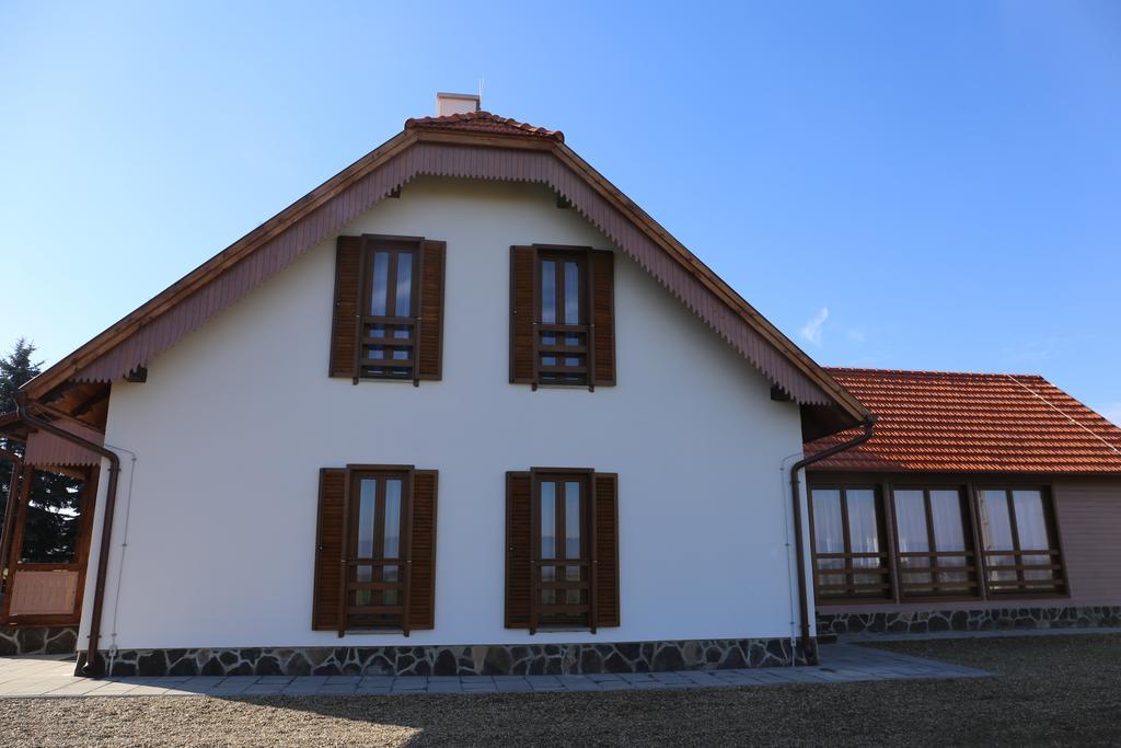 Hotel Ezüstfenyő Agroturisztikai Panzió Borzont Exterior foto